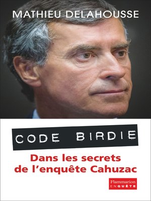 cover image of "Code Birdie"